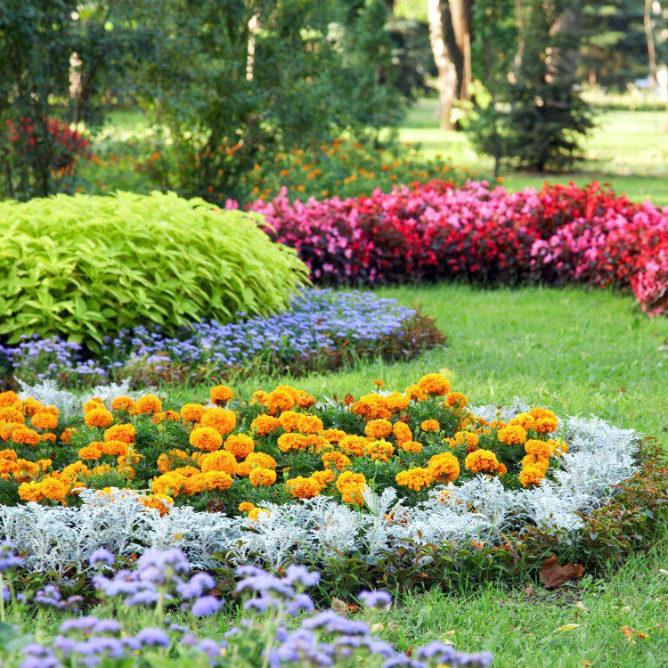 Landscaping and Remodeling in Brevard, NC
