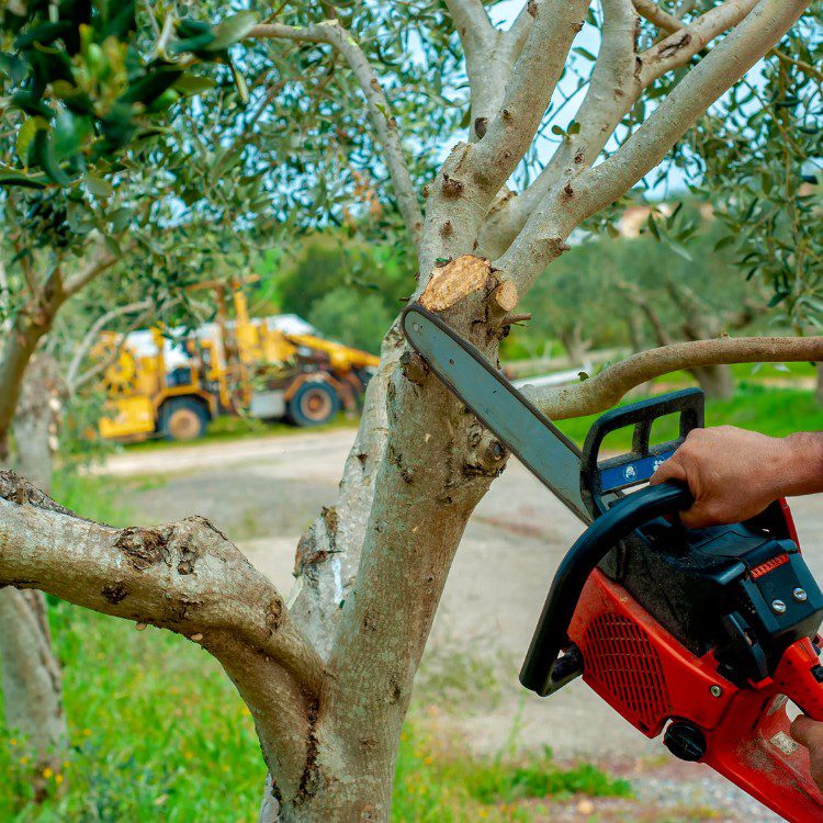 Landscaping and Remodeling in Brevard, NC