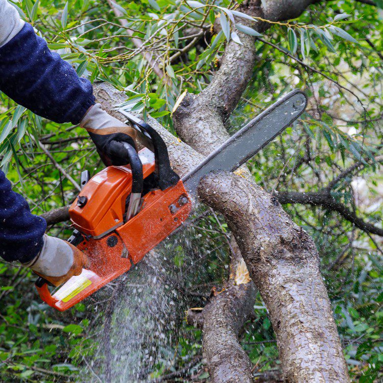 Landscaping and Remodeling in Brevard, NC