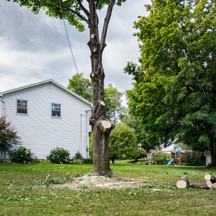 Landscaping and Remodeling in Brevard, NC